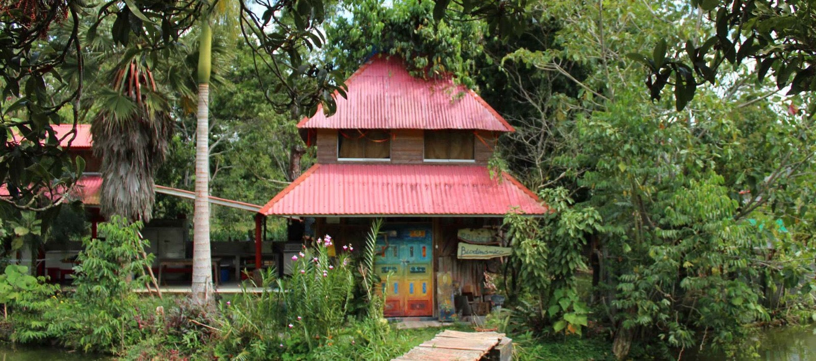 Scratch Cafe Coffee (Whole Bean)