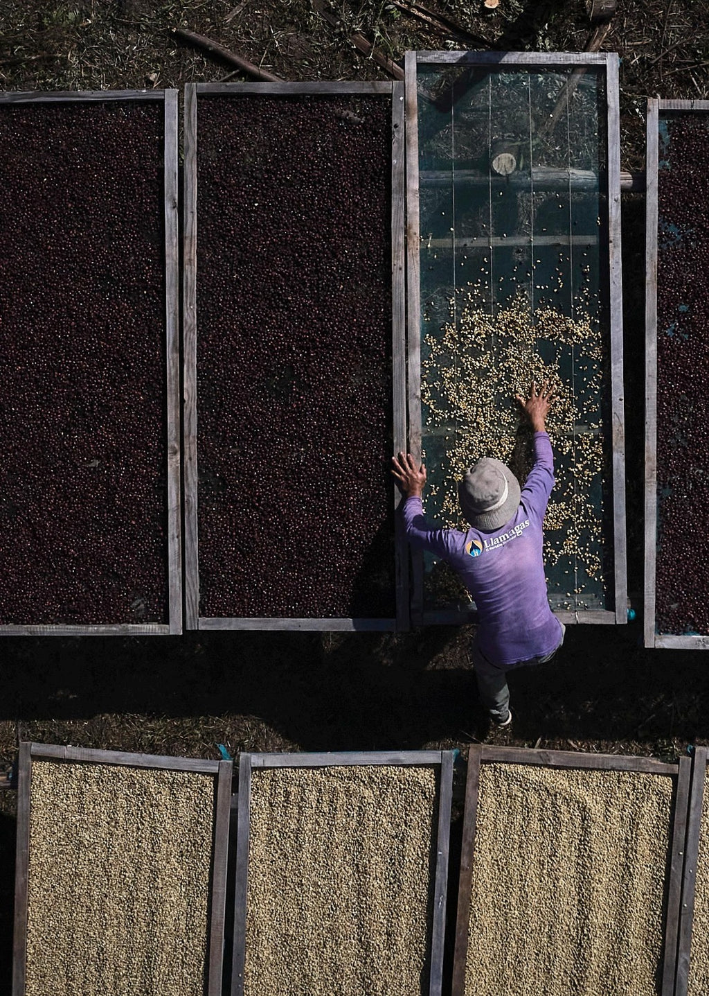 Scratch Cafe Coffee (Whole Bean)