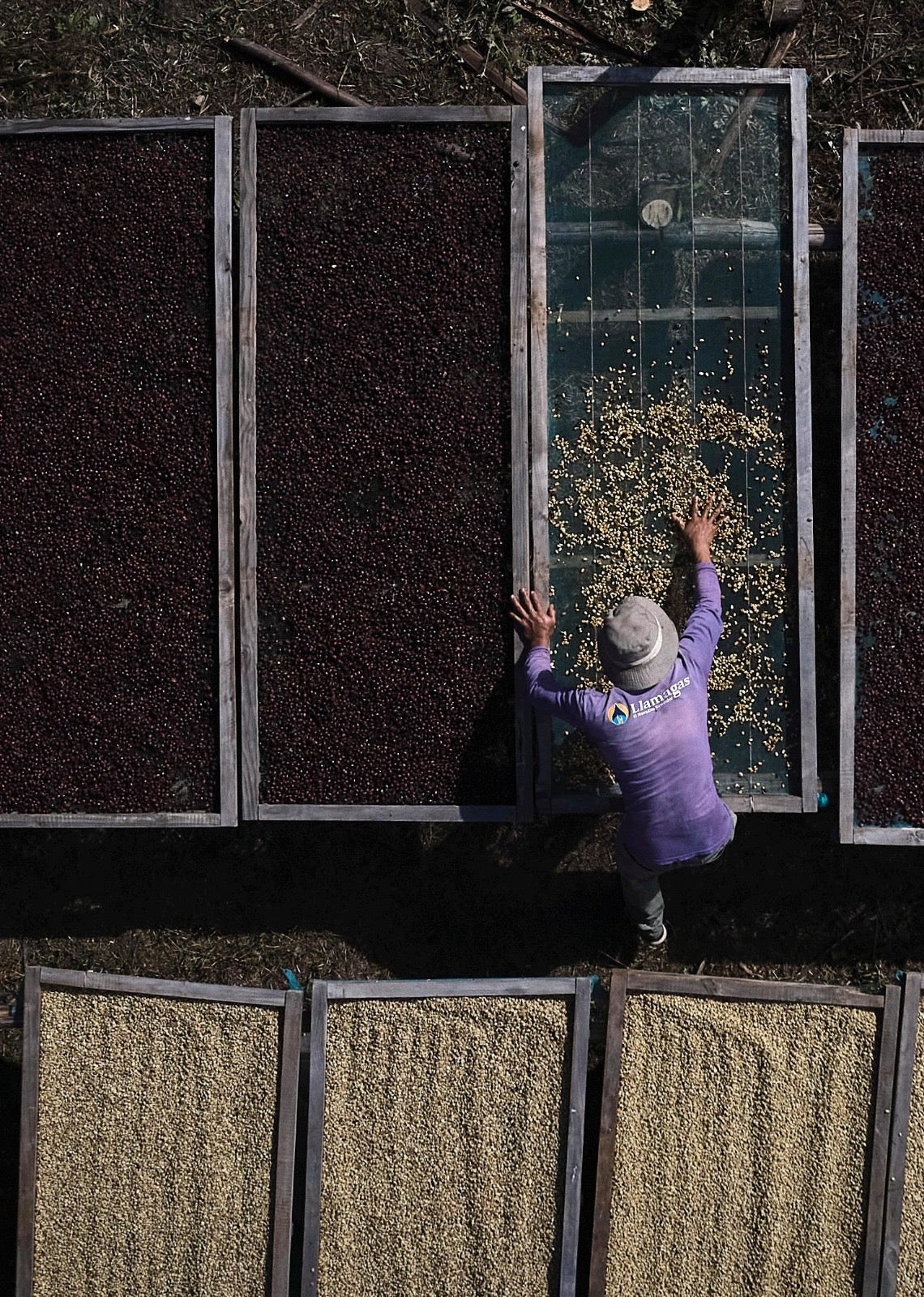 Scratch Cafe Coffee (Whole Bean)