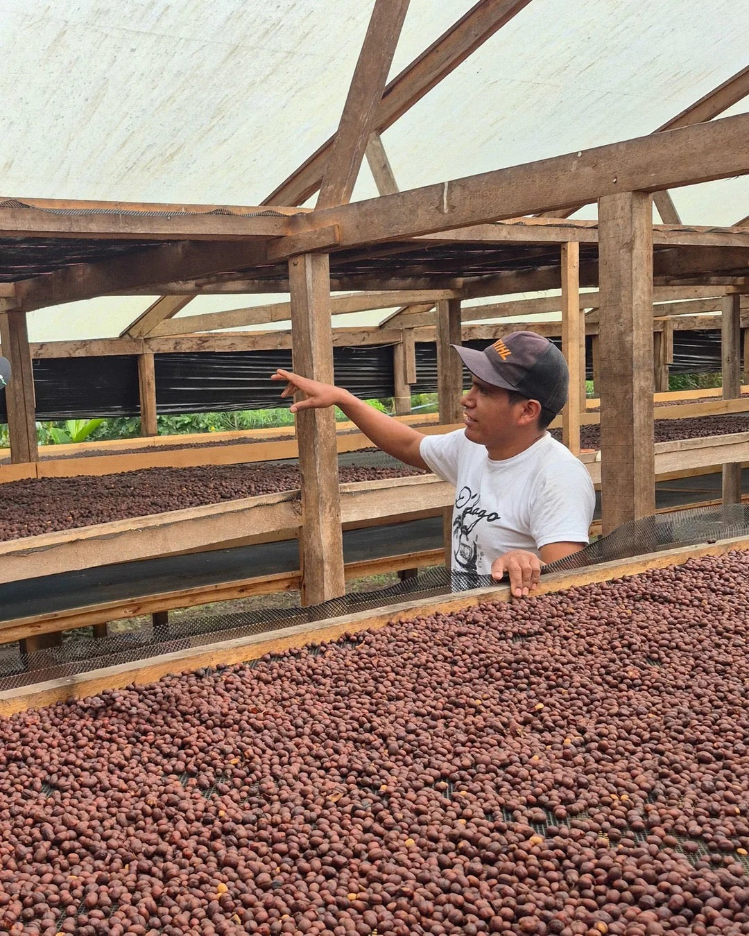 Scratch Cafe Coffee (Ground)